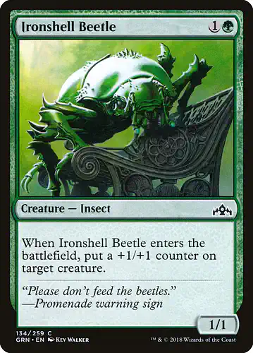 Ironshell Beetle - grn Spoiler
