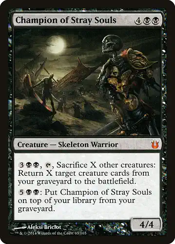 Champion of Stray Souls - bng Spoiler