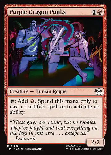 Purple Dragon Punks - tmt Spoiler