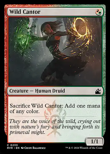 Wild Cantor - rvr Spoiler