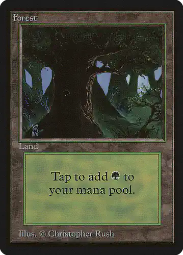 Forest - leb Spoiler