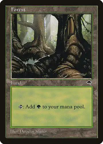 Forest - tmp Spoiler