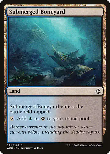 Submerged Boneyard - akh Spoiler