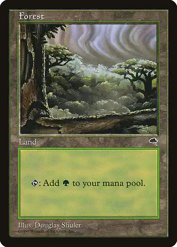 Forest - tmp Spoiler