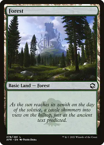 Forest - afr Spoiler
