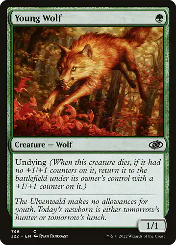 Young Wolf - j22 Spoiler