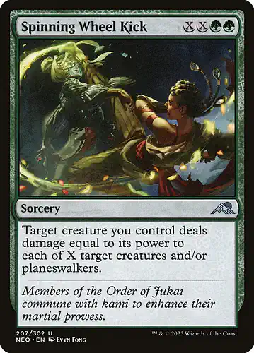 Spinning Wheel Kick - neo Spoiler