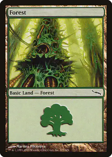 Forest - mrd Spoiler