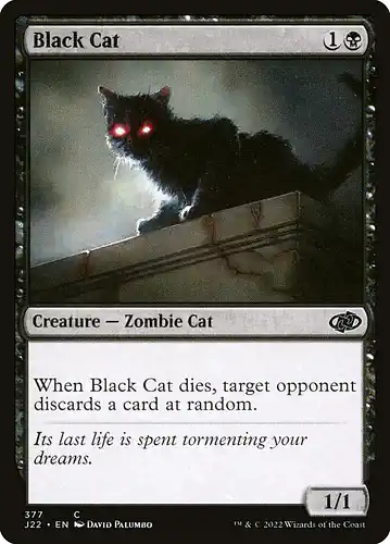 Black Cat - j22 Spoiler