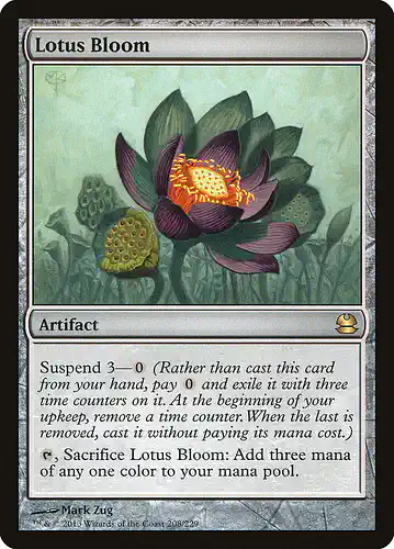 Lotus Bloom - mma Spoiler