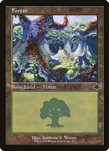 Forest - dmr Spoiler