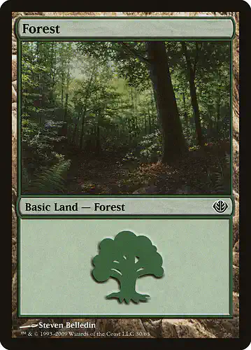 Forest - ddd Spoiler