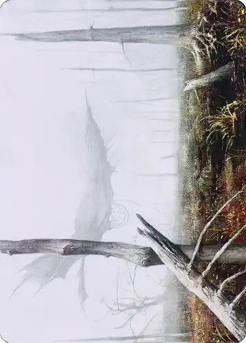 Swamp - dmu Spoiler