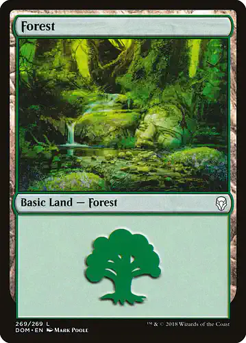 Forest - dom Spoiler