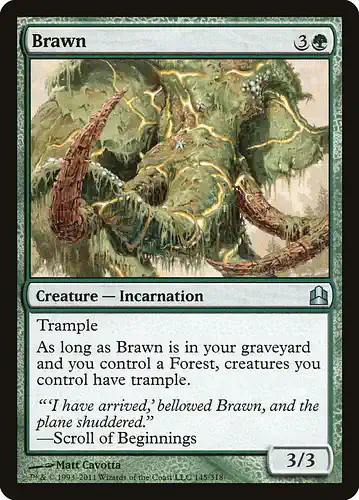 Brawn - cmd Spoiler