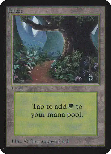 Forest - lea Spoiler