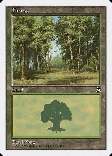 Forest - ptk Spoiler