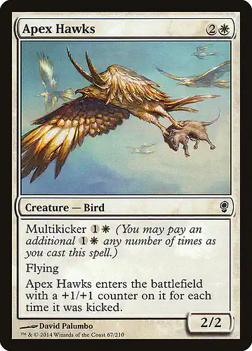 Apex Hawks - cns Spoiler