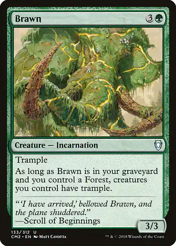 Brawn - cm2 Spoiler