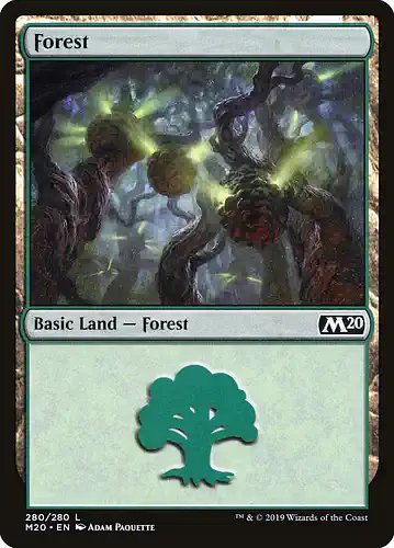 Forest - m20 Spoiler