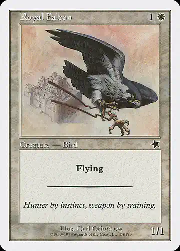 Royal Falcon - s99 Spoiler