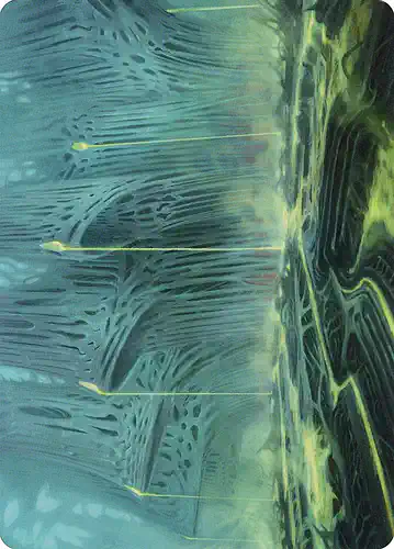 Swamp - one Spoiler