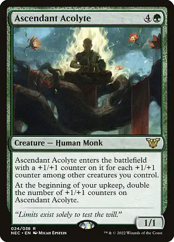 Ascendant Acolyte - nec Spoiler