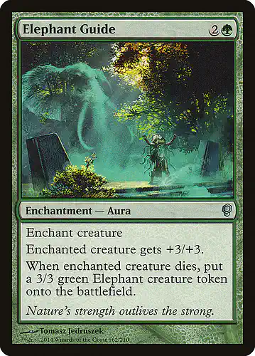 Elephant Guide - cns Spoiler