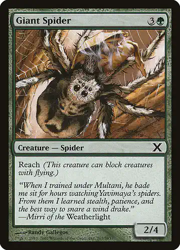 Giant Spider - 10e Spoiler