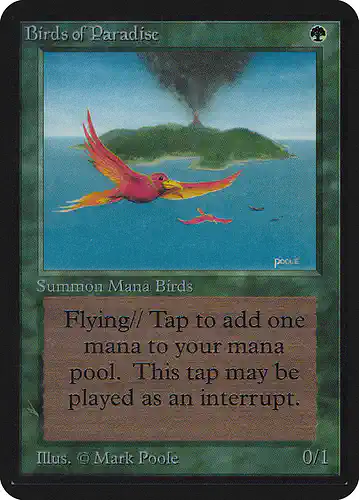Birds of Paradise - lea Spoiler