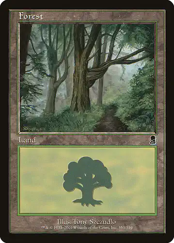 Forest - ody Spoiler