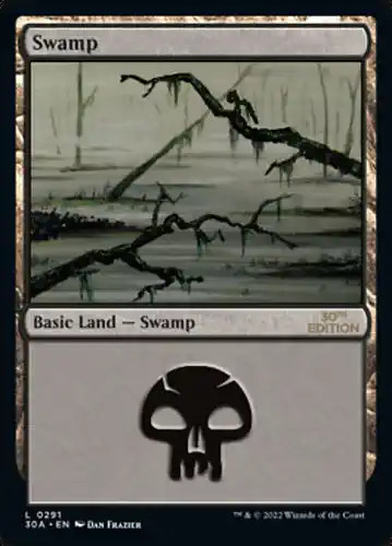 Swamp - 30a Spoiler