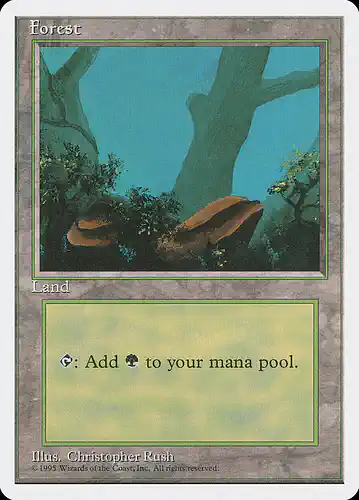 Forest - 4ed Spoiler