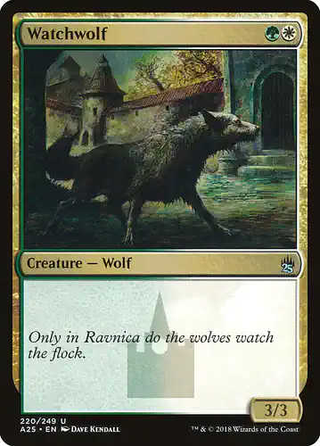 Watchwolf - a25 Spoiler