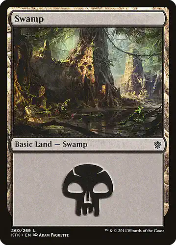Swamp - ktk Spoiler