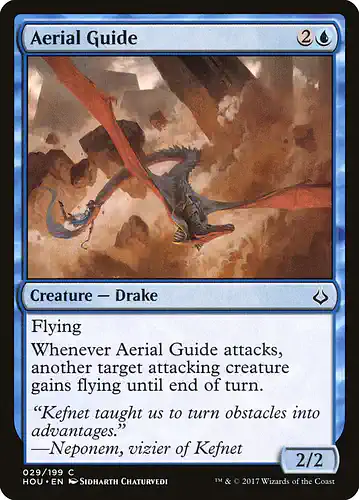 Aerial Guide - hou Spoiler