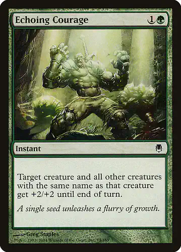 Echoing Courage - dst Spoiler