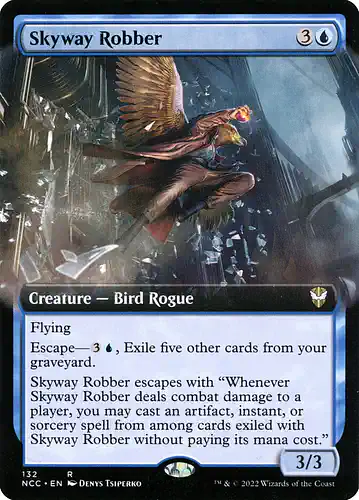 Skyway Robber - ncc Spoiler