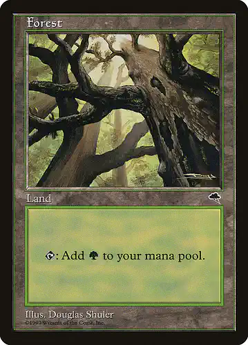 Forest - tmp Spoiler