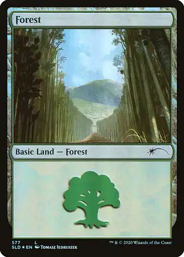 Forest - sld Spoiler