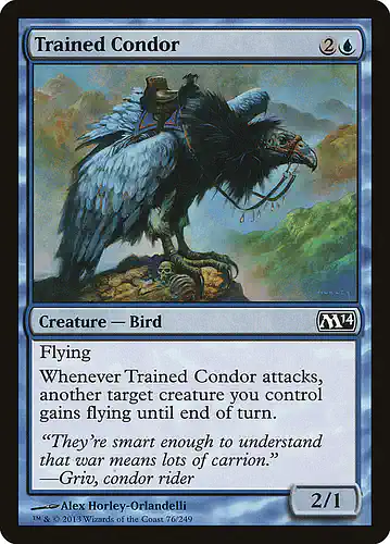 Trained Condor - m14 Spoiler