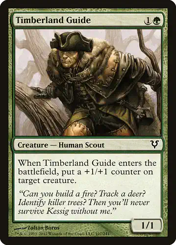 Timberland Guide - avr Spoiler