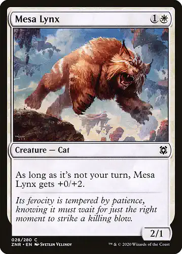 Mesa Lynx - znr Spoiler