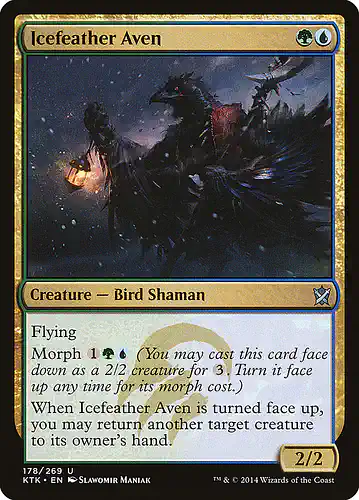 Icefeather Aven - ktk Spoiler