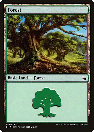 Forest - cma Spoiler