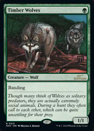 Timber Wolves - 30a Spoiler