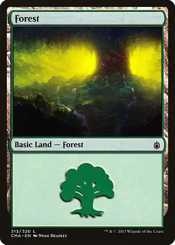 Forest - cma Spoiler