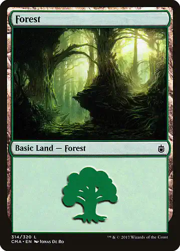 Forest - cma Spoiler