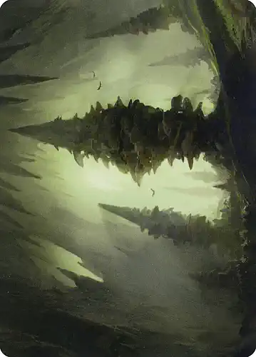 Forest - afr Spoiler