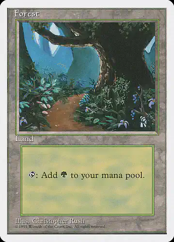 Forest - 4ed Spoiler